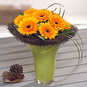 Gorgeous Gerbera's