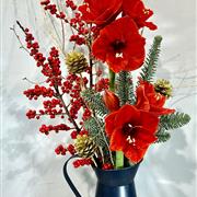 Amaryllis berry jug 